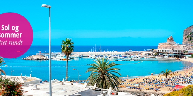 rejser til gran canaria fra billund